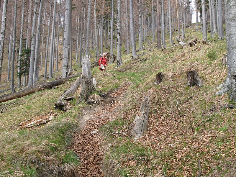 ferdinand-mayr-weg